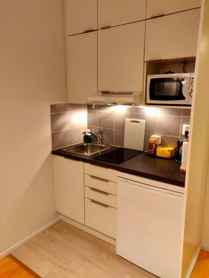 Studio In Helsinki City Center Apartman Kültér fotó